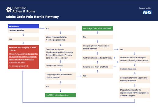 Groin Pathway